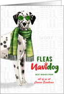 Dalmatian Funny Pet Lover Fleas Navidog Christmas Custom card