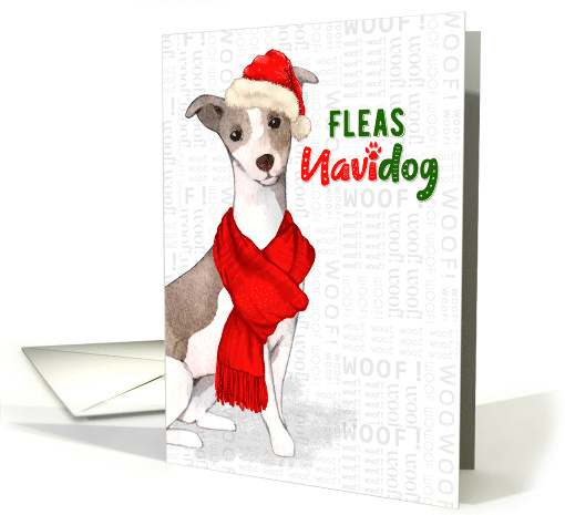 Italian Greyhound Dog Funny Fleas Navidog Christmas card (1551568)