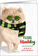 Pomeranian Dog Breed Funny Fleas Navidog Christmas Custom card