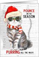 Scottish Straight Cat Funny Christmas Purring All the Way card