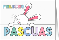 SPANISH Easter Bunny Pastel Hues Blank card