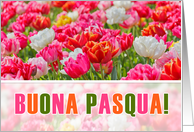 ITALIAN Easter Joyeuses Paques Pink Tulip Garden card