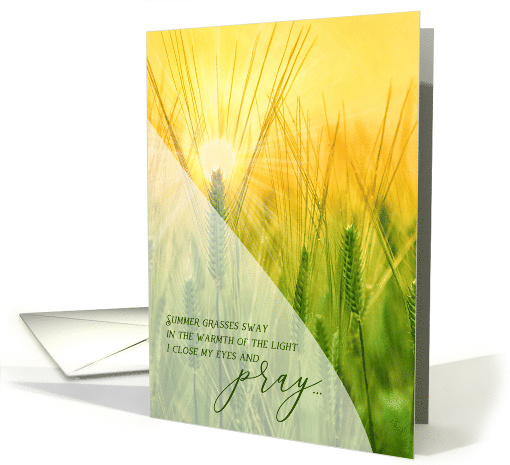 Cancer Get Well Pray You'll Win this Fight Sunlit Summer Grasses card