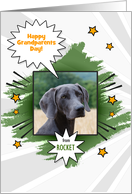 Grandparents Day from the Dog or Granddog with Photo and Name card
