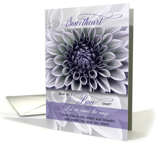 Sweetheart Romantic Valentine Soft Lavender Floral Petals card
