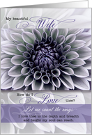for Wife Romantic Valentine Soft Lavender Floral Petals card