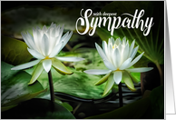 Sympathy White Waterlilies Restore Soul of the Departed card