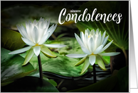 Condolences White Waterlilies Restore Soul of the Departed card