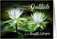 Sympathy Thank You White Waterlilies Blank Inside card
