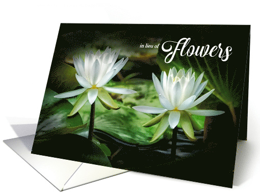 In lieu of Flowers Funeral White Waterlilies card (1688706)
