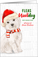 Westie Rescue Group Fleas Navidog Christmas in Red and Green card