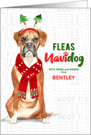 From the Dog Christmas Boxer Funny Fleas NaviDOG Custom card