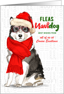 Business Malamute Fleas Navidog Christmas Dog Custom card