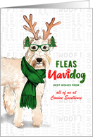 Business Wheaten Terrier Fleas Navidog Christmas Dog Custom card