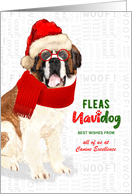 Business Saint Bernard Fleas Navidog Christmas Dog Custom card