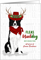 Business Border Collie Fleas Navidog Christmas Dog Custom card