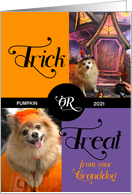 from the Granddog Trick or Treat Cute Halloween Two Photos card