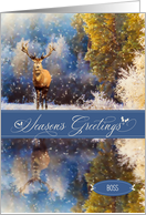 for Boss Season’s Greetings Christmas Woodland Deer in the Snow card