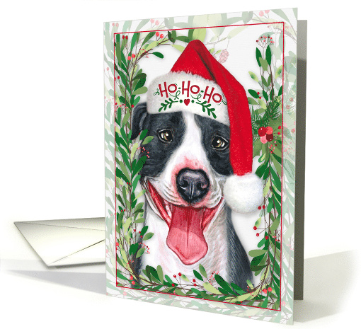 Blue Gray Pit Bull Christmas Dog in Ho Ho Ho Santa Hat card (1714078)