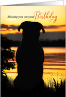Missing You on Your Birthday Dog Silhouette Sunset card