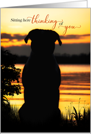 Thinking of You Dog Silhouette by a Sunset Lake card