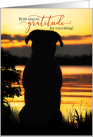 Volunteer Thank You Dog Silhouette at a Sunset Lake card