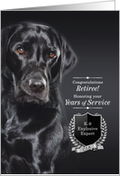 K9 CIA Bomb Dog Retirement Black Labrador Retriever card