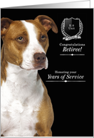 K9 Police Dog Retirement with an American Pit Bull Terrier card