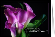 Spanish Condolencias with Purple Calla Lily on Black card