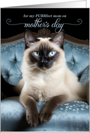 From the Cat on Mother’s Day Siamese Cat on a Blue Chair card