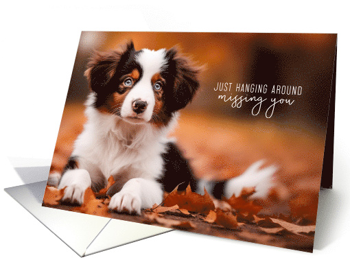 I Miss You Australian Shepherd Puppy card (421583)