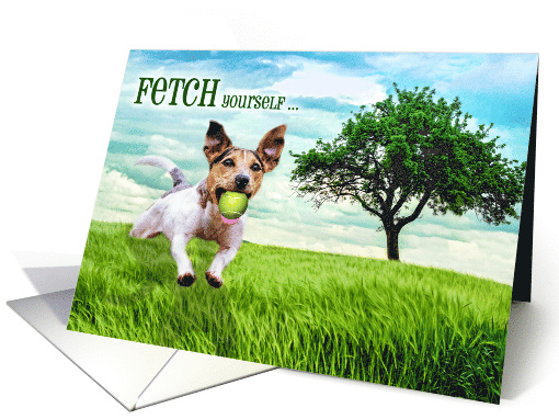 For Him on His Birthday Jack Russel Terrier Dog Fetch card (423928)