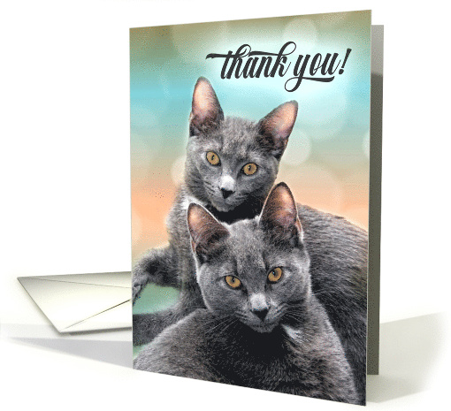 Thank You Two Gray Cats card (432102)
