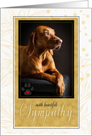 Pet Sympathy Loss of Dog in Yellows and Golden Hues card