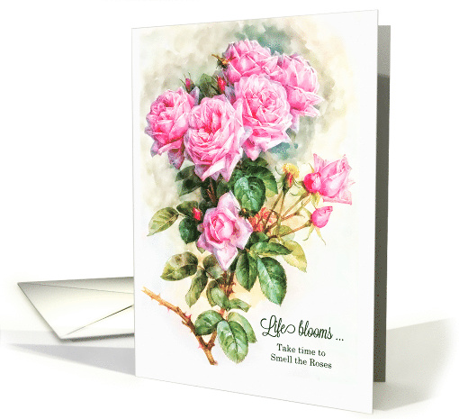 Oh Happy Day Pink Vintage Roses in a Painted Garden Setting card