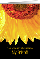 Friendship Sunflower Ray of Sunshine card