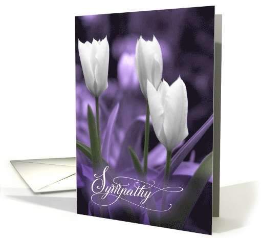 Sympathy White Tulips and Lavender Purple Tint card (440270)