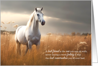 Best Friend Birthday with a White Horse in a Golden Meadow card
