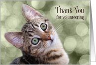 Volunteer Thank You Tabby Kitten card