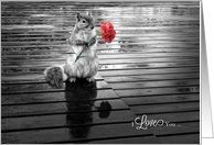 I Love You Squirrel with Carnation Black and White card