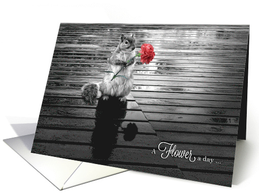 Love and Romance Squirrel with a Pink Carnation card (451128)