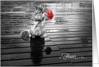Love and Romance Squirrel with a Pink Carnation card