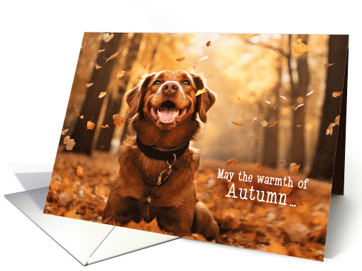 Thanksgiving Autumn Leaves with Dog Sunbathing card (459014)