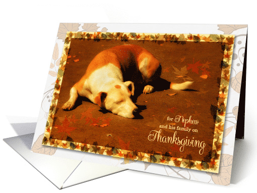 for Nephew and His Family Thanksgiving Dog in Autumn Sun card (459032)