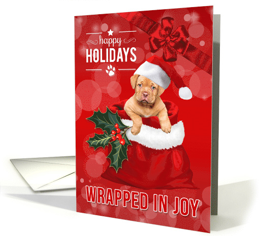 Holidays Wrapped in Joy Cute Puppy in a Santa Hat card (484703)