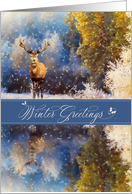 Greetings from Our New Address Wintery Forest card