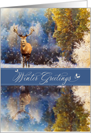 For a Neighbor at Christmas Winter Woodland Deer card