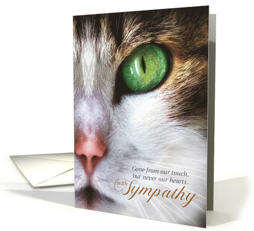 Pet Sympathy Loss of a Cat Tabby Face Tender Message card (509865)