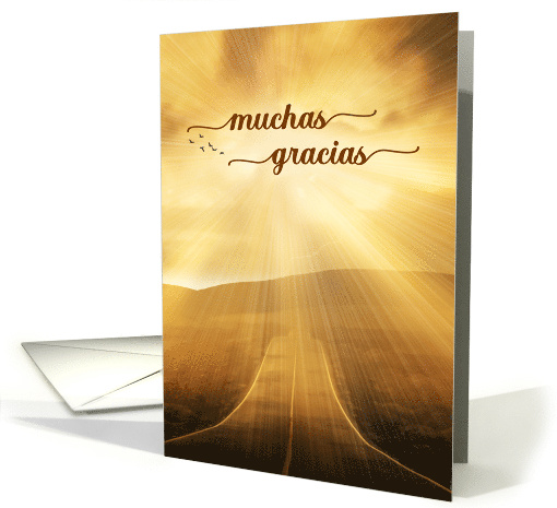 Gracias Spanish Thank You Sunlit Endless Road Blank card (586754)