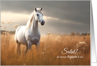 Salut! French Thinking of You Horse in Summer Grasses Blank card